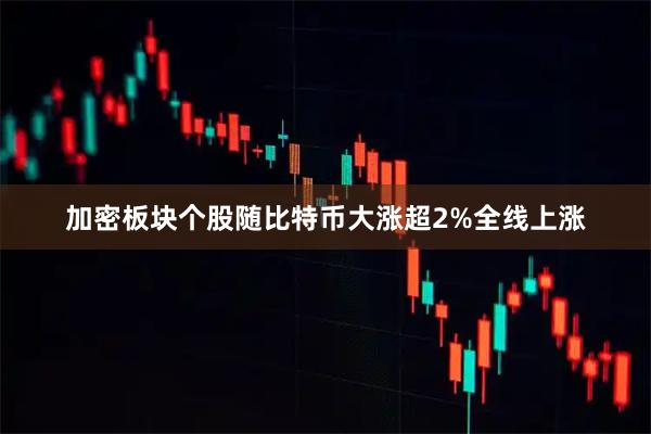 加密板块个股随比特币大涨超2%全线上涨